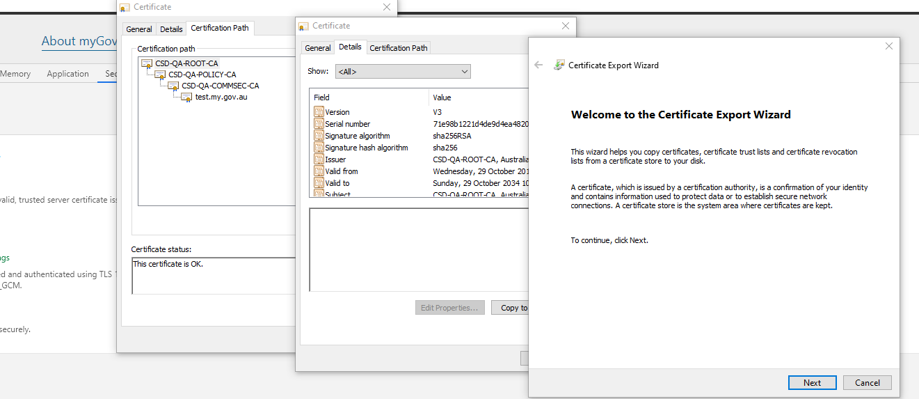 developer-tools-certificate-screenshot
