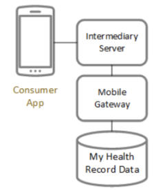 FHIR platform model